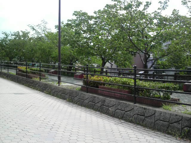 0428-01.JPG